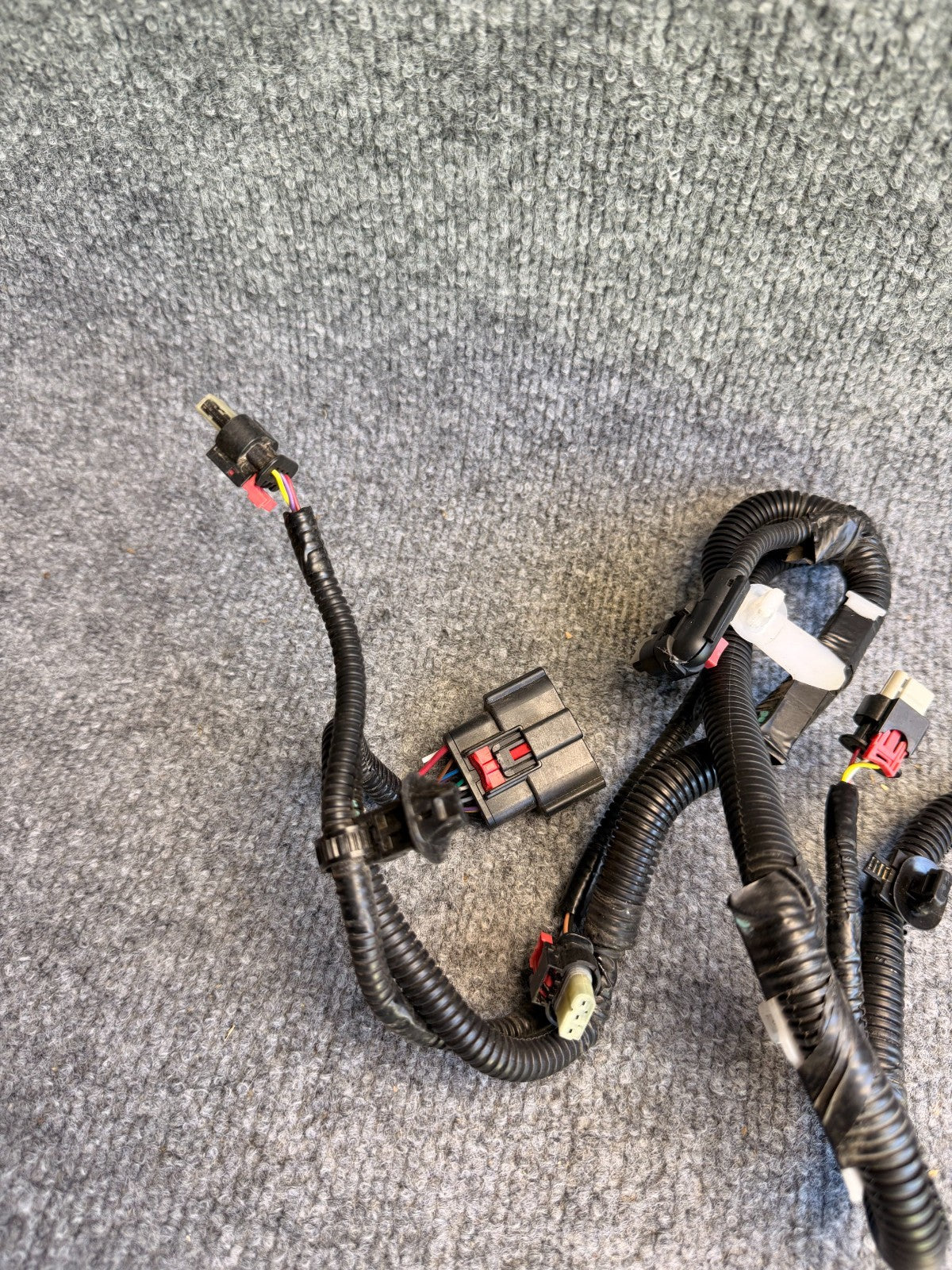 2017 - 2023 TESLA MODEL 3 FRONT BUMPER WIRE WIRING HARNESS 2067958-00-B