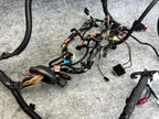 ♦️2012 - 2020 TESLA MODEL S FRONT RIGHT DOOR WIRING HARNESS OEM, 1004424-00-P