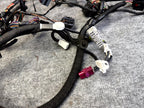 ♦️2012 - 2020 TESLA MODEL S FRONT RIGHT DOOR WIRING HARNESS OEM, 1004424-00-P
