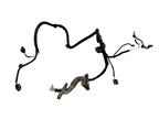 ♦️17-23 TESLA MODEL 3 REAR LEFT SIDE DOOR WIRING HARNESS CABLE OEM, 2067965-00-B