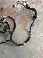 ♦️12-20 TESLA MODEL S FRONT RIGHT SIDE DOOR WIRE HARNESS OEM, 1004424-00-M