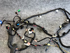 ♦️17-23 TESLA MODEL 3 FRONT RIGHT SIDE DOOR WIRE WIRING HARNESS OEM, 306796300C