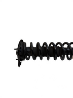 2012-20 Model S Rear Left Right Shock Strut Absorber & Coil Spring 1015620-01-C