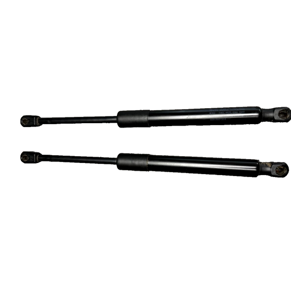 2017–2023 TESLA MODEL 3 REAR LEFT & RIGHT TRUNK SHOCK STRUT OEM, 1091560-00-B