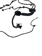 2017-2024 TESLA MODEL 3 Front Right Door Wiring Harness 3067963-00-C