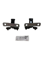 2016-2020 TESLA MODEL Y REAR LEFT & RIGHT SIDE LIFT GATE HINGE SET 1500495-00-C