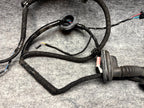 ♦️2017-2023 TESLA MODEL 3 REAR RIGHT SIDE DOOR WIRING HARNESS OEM, 2067966-00-B