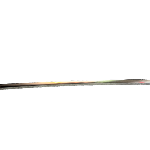17–23 TESLA MODEL 3 REAR LEFT SIDE DOOR MOLDING TRIM STRIP OEM, 1080745-01-J