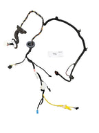 2017-2023 Tesla Model 3 Rear Left Driver Door Harness Wiring 1067965-90-D