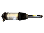 2016 – 2020 TESLA MODEL S REAR LEFT SIDE AIR SPRING SHOCK OEM,  1067461-00-C