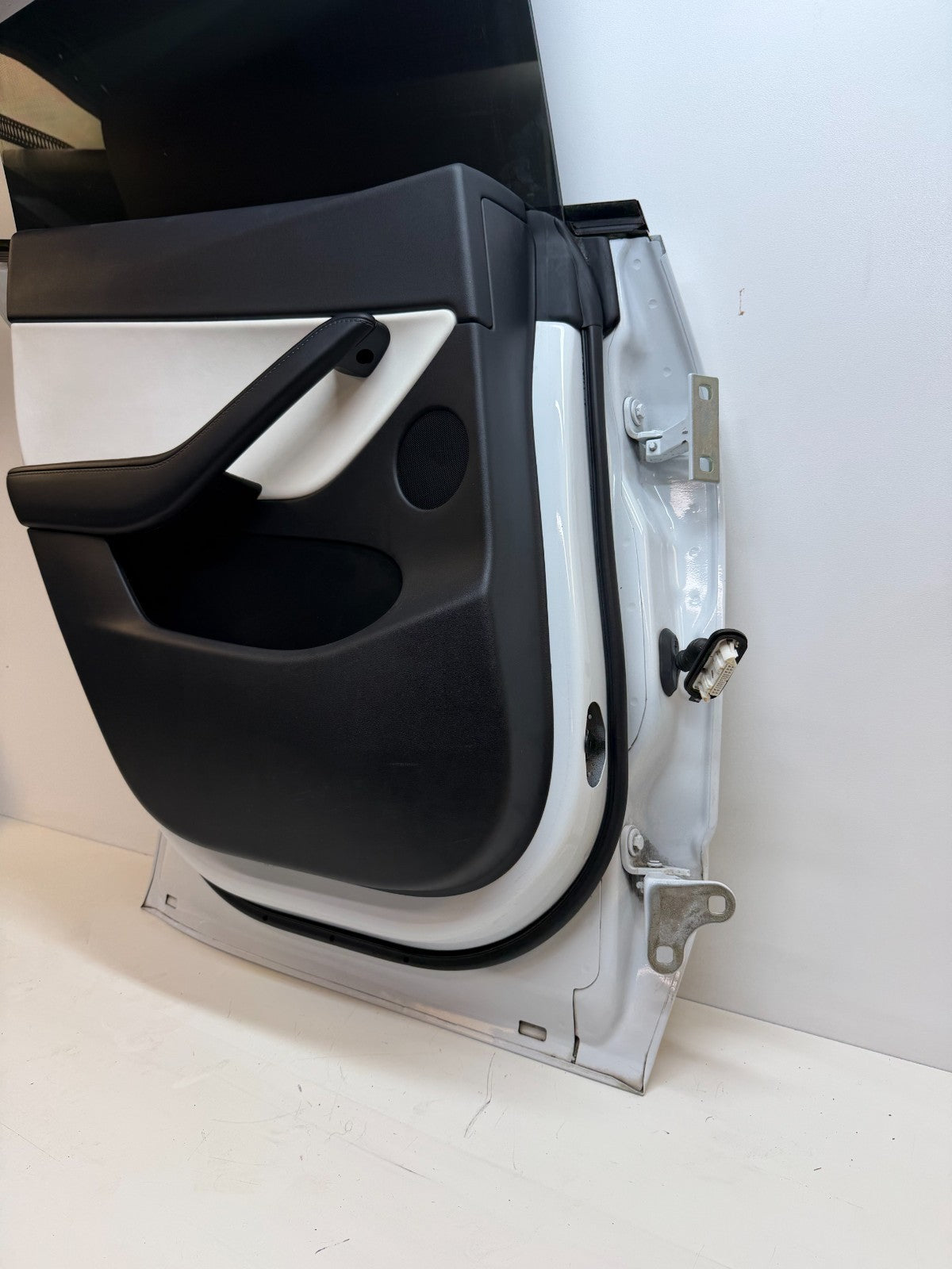 2012-2020 Tesla Model Y Rear Left Driver Side Complete Door Assembly