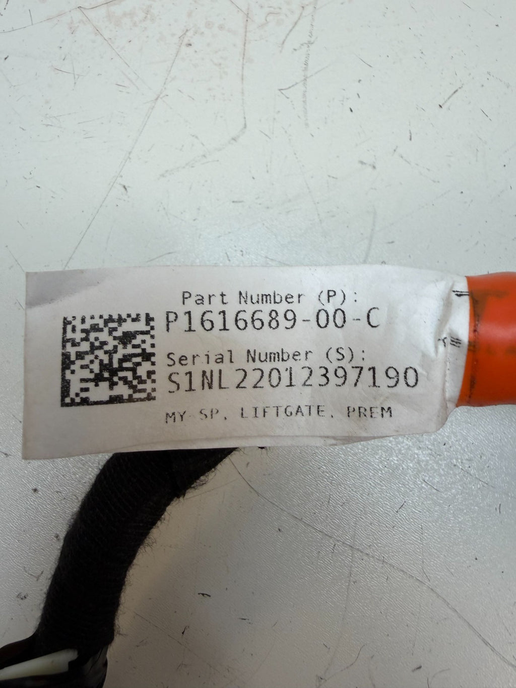 20-24 Tesla Model Y Rear Liftgate Trunk Wiring Harness & Connector 1616689-00-C