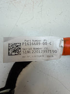 20-24 Tesla Model Y Rear Liftgate Trunk Wiring Harness & Connector 1616689-00-C