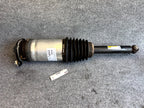 2016 – 2020 TESLA MODEL S REAR LEFT SIDE AIR SPRING SHOCK OEM,  1067461-00-C