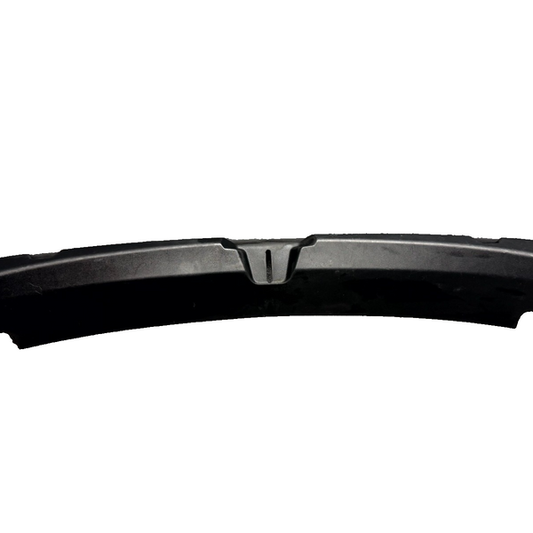 2017-2023 TESLA MODEL 3 TAILGATE TRUNK LOCK TRIM SCUFF PLATE OEM, 1086315-00-G