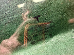 ♦️2020-2023 TESLA MODEL Y FRONT LEFT DRIVER SIDE DOOR WINDOW GLASS OEM