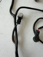 ♦️2017 - 2023 TESLA MODEL 3 REAR BUMPER WIRE WIRING HARNESS OEM, 1067959-00-E
