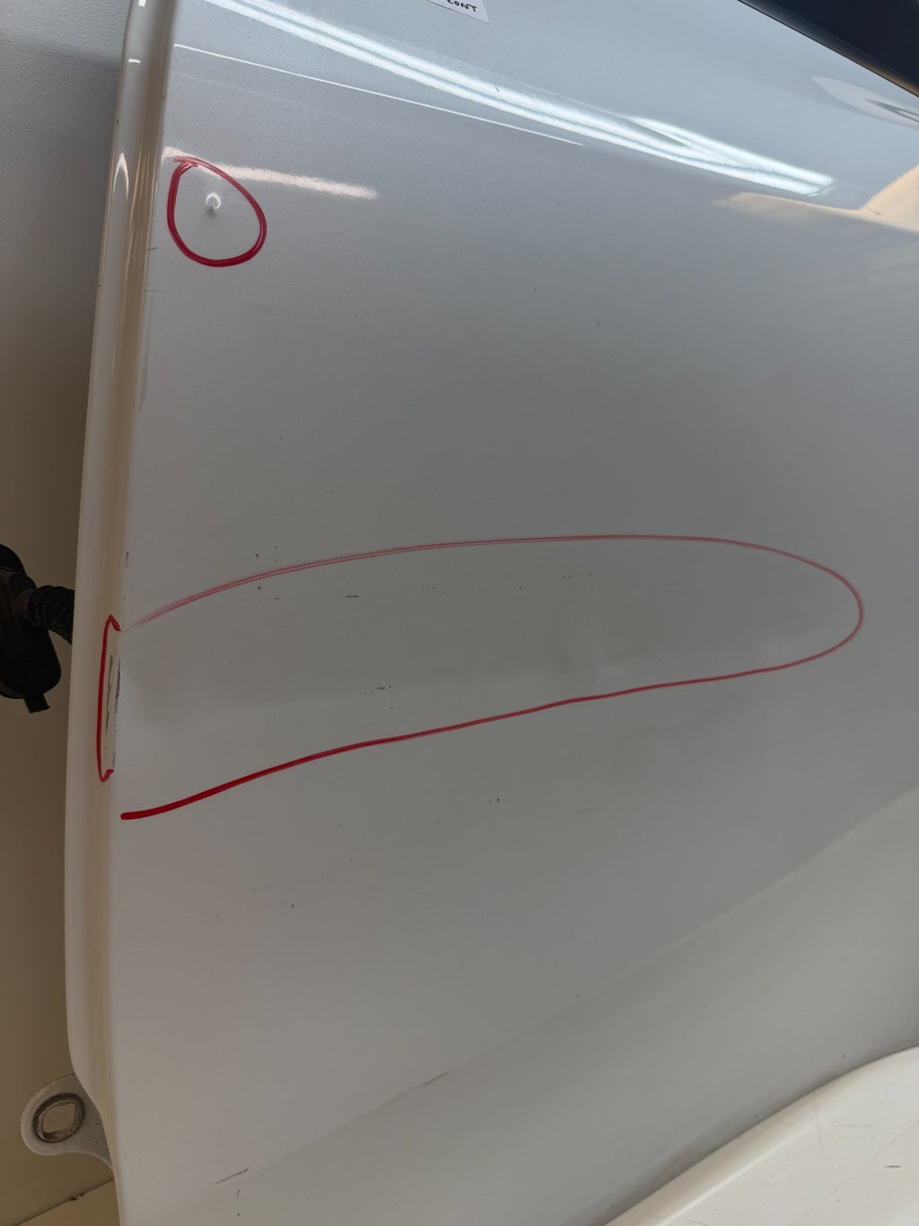 2012-2020 Tesla Model Y Rear Left Driver Side Complete Door Assembly
