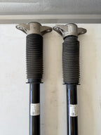 ♦️17 - 23 TESLA MODEL 3 REAR LEFT & RIGHT SHOCK STRUT ABSORBER OEM, 1044461-01-E