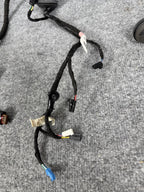 ♦️17-23 TESLA MODEL 3 REAR LEFT SIDE DOOR WIRING HARNESS CABLE OEM, 2067965-00-B